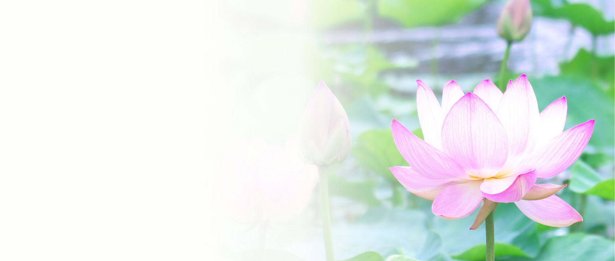 お知らせイメージ